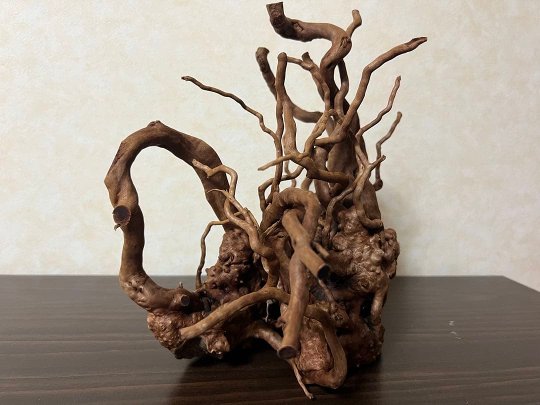 10936 ブランチウッド 流木 アクアリウム 沈水確認済