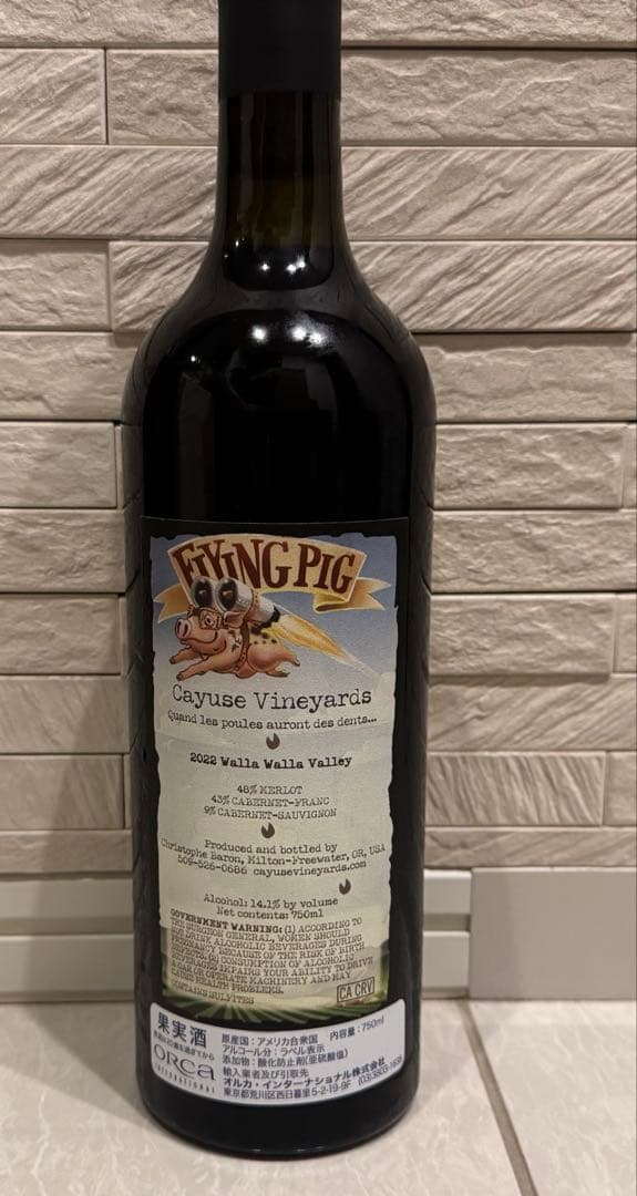 カユース フライング ピッグ2022 カユース フライング ピッグ2022