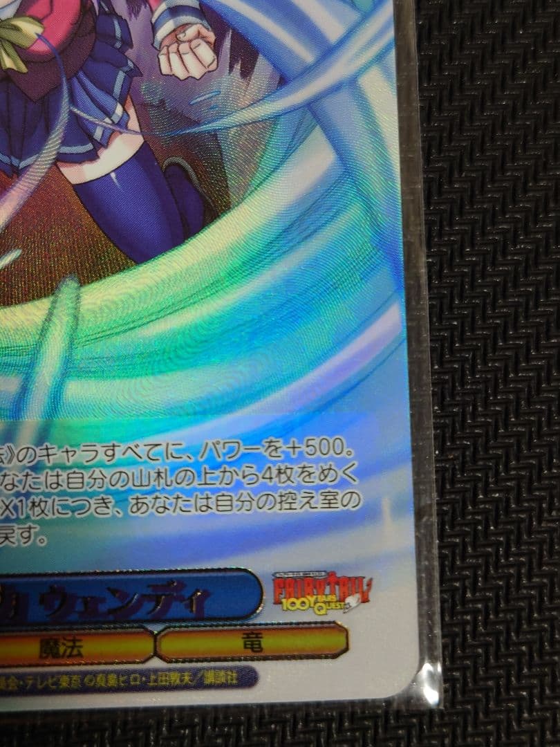 天竜の力 ウェンデ　S120-074SSP　箔押し　ヴァイスシュヴァルツ