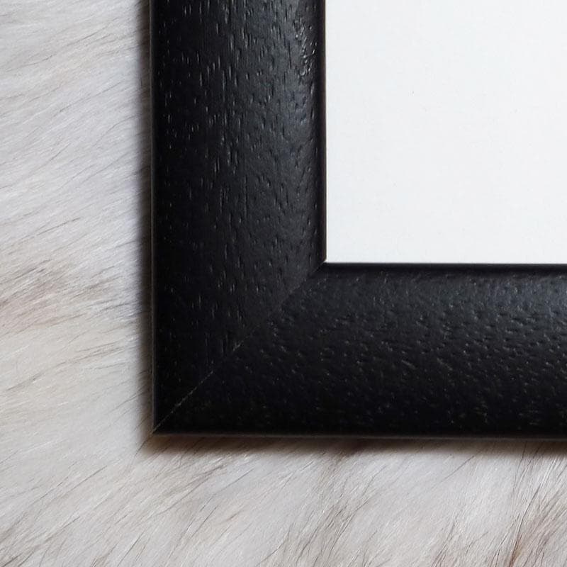 額装品/シャネル 2011年 オドレイ・トトゥ/フォト/ポスター/インテリア