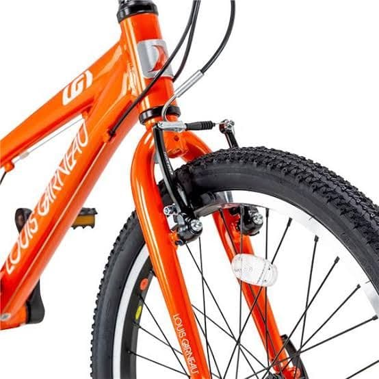 2024年購入 ルイガノの自転車 20インチ オレンジ 美品！