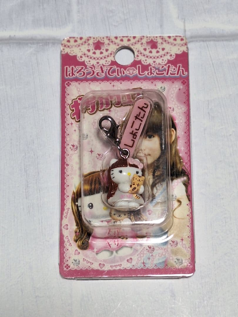 しょこたん✩希少✩全3種✩2007✩中川翔子✩限定キティ✩ご当地キティ