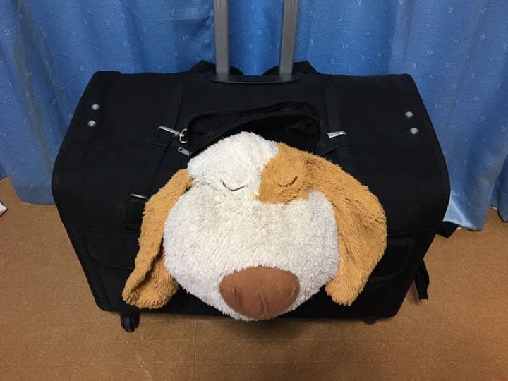 犬用キャリーバッグ XL(TAKE ME) TAKE ME 中型犬 キャリーバッグ