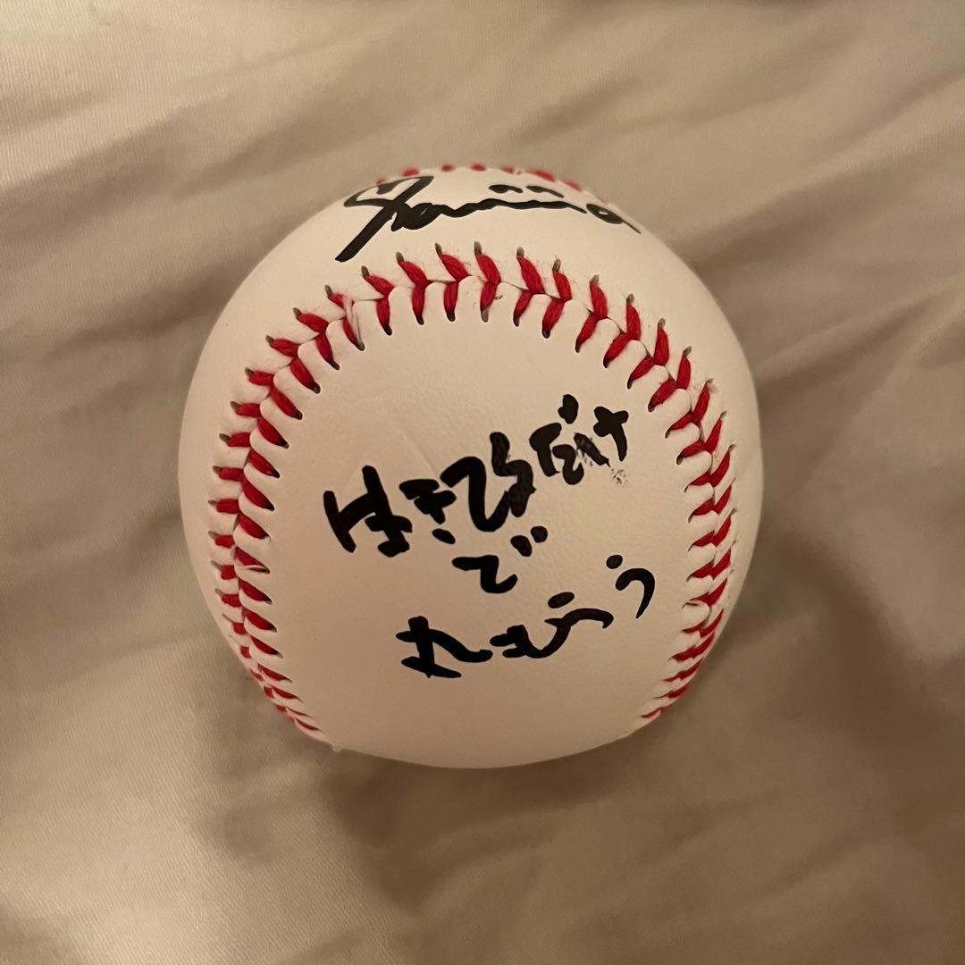 明石家さんま 直筆サインボール 生きてるだけで丸もうけ 色紙