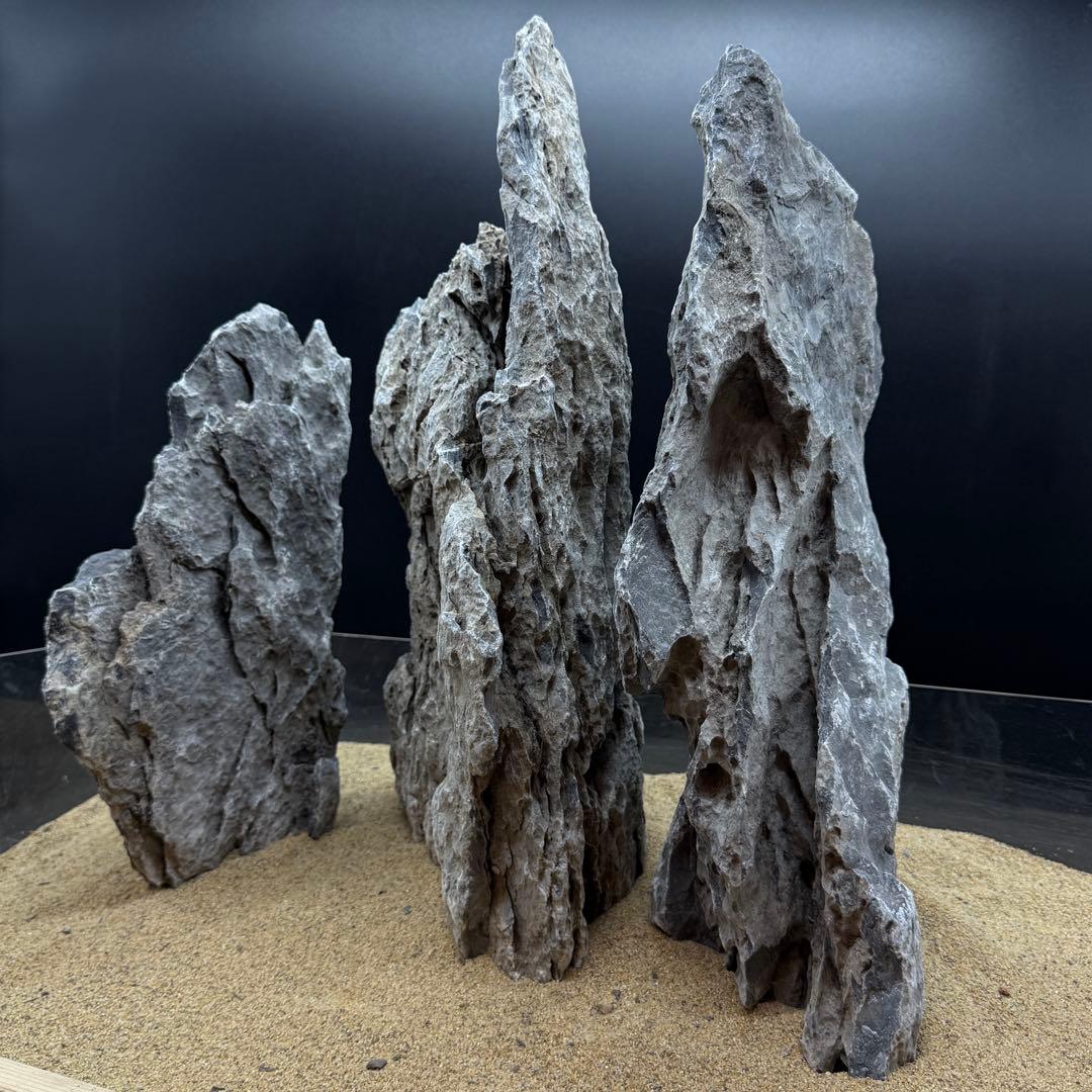 MSS-6912 特大青龍石3点セット 龍王石 竜王石 アクアリウム