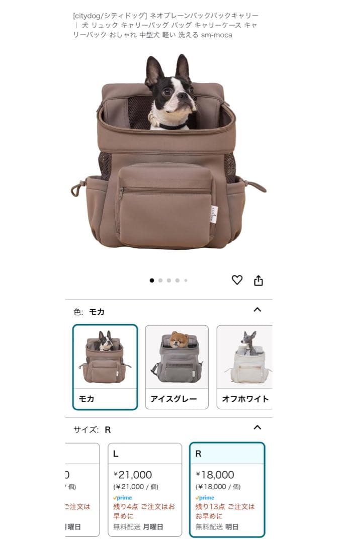 シティドッグ キャリーバッグRサイズ オフホワイト キャリーリュック