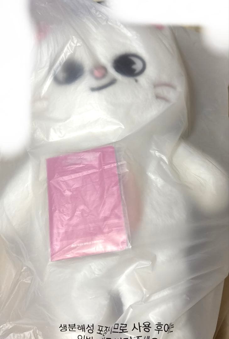 straykids テディベア ぬいぐるみ 5'CLOCK ヒョンジン straykids テディベア ぬいぐるみ 5'CLOCK ヒョンジン straykids