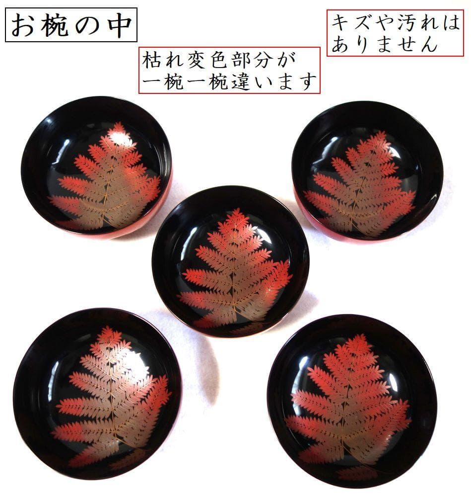 輪島塗 羊歯文様 大振り椀 ５客