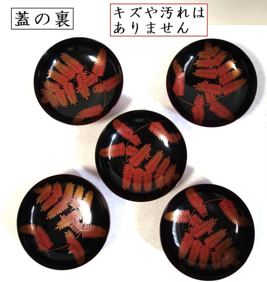 輪島塗 羊歯文様 大振り椀 ５客