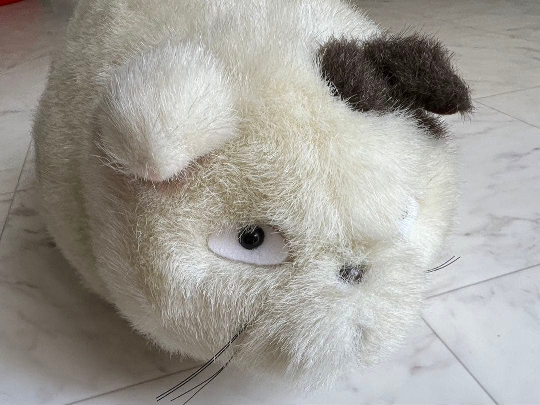 耳をすませば ムーン デブ猫