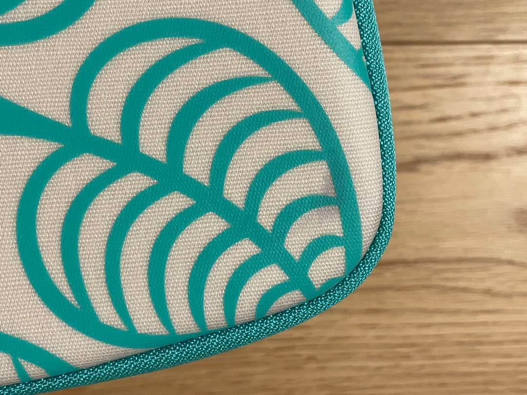 Nintendo Switch あつまれどうぶつの森　本体 ケース、SD付き