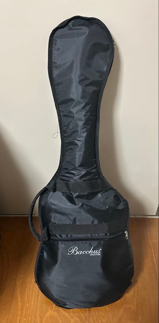 ギター Bacchus BST-1-RSM/M