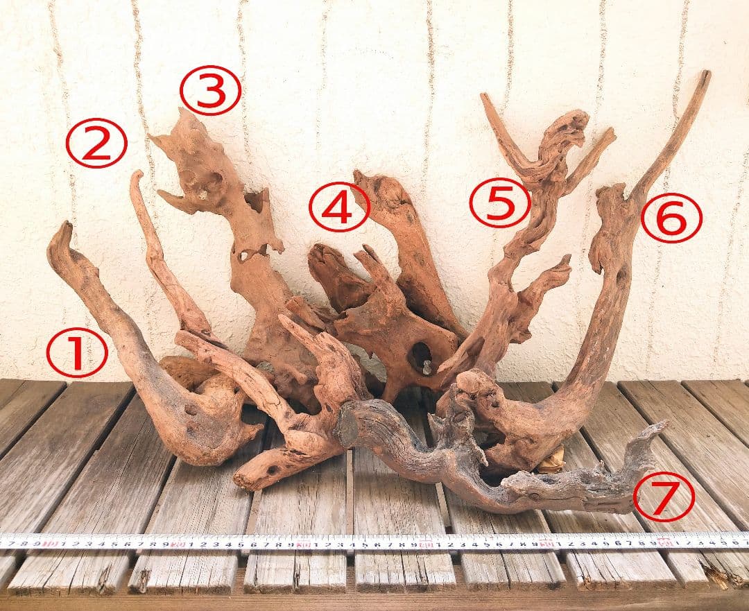 アクアリウム用品 レイアウト 良型 流木 Lサイズ 7本セット - メルカリ