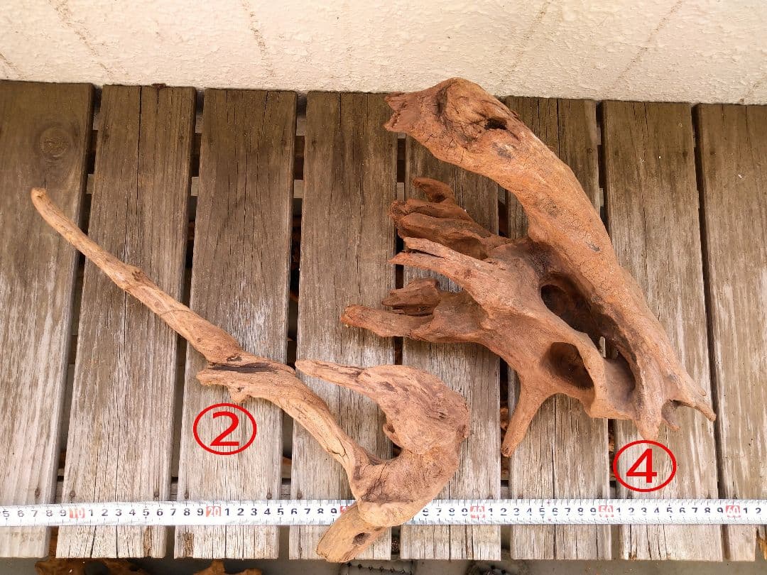 アクアリウム用品 レイアウト 良型 流木 Lサイズ 7本セット - メルカリ