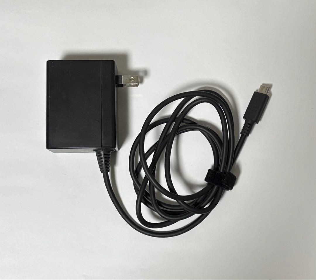 Nintendo Switch 本体（ジョイコン グレー） キャリングケース付き