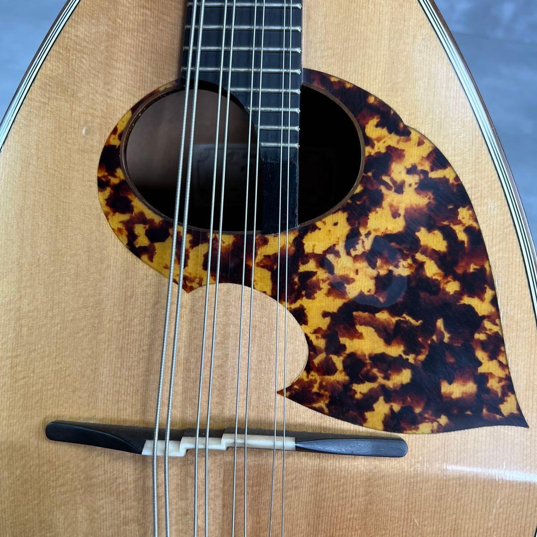 希少　名工 野口實　マンドラ　DM-51　ハンドメイド　弦楽器　大型マンドリン