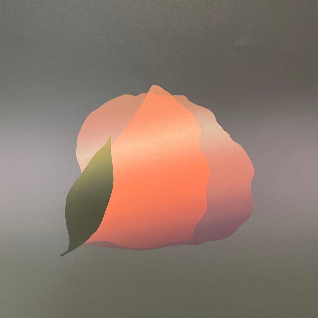 開花 絵画 井上公三 引き取り限定