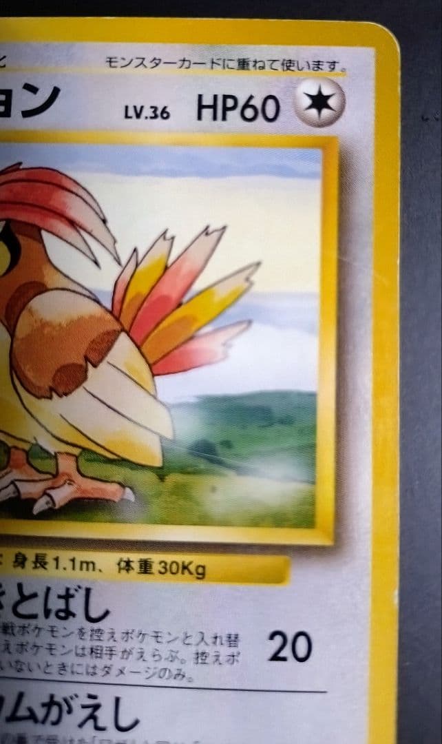 【星エラー有】【初版】ポケモンカード 旧裏 No.017 ピジョン LV.36