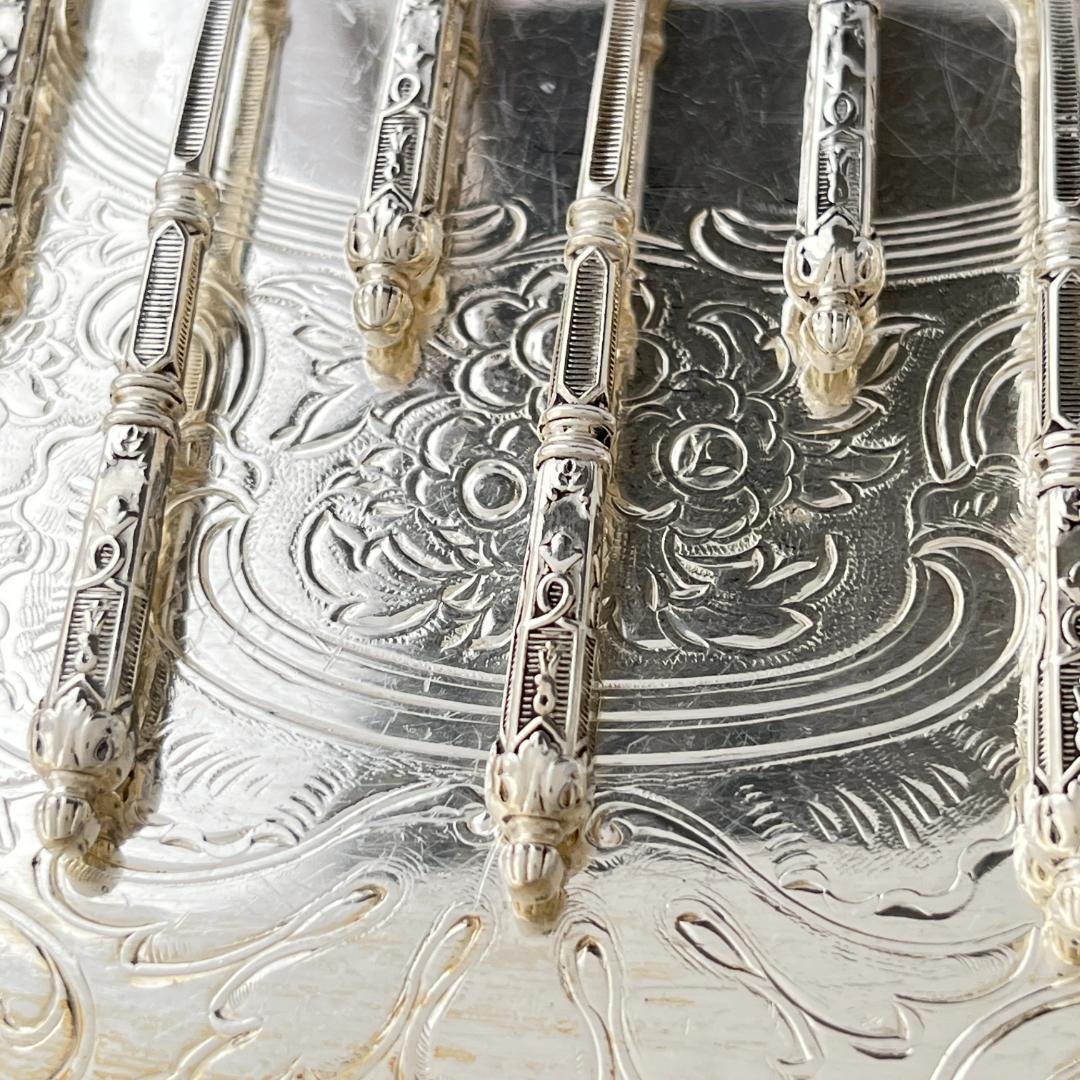 【SFAM】 ロシア様式のデミタススプーン 12本組 仏蘭西 10cm ケース