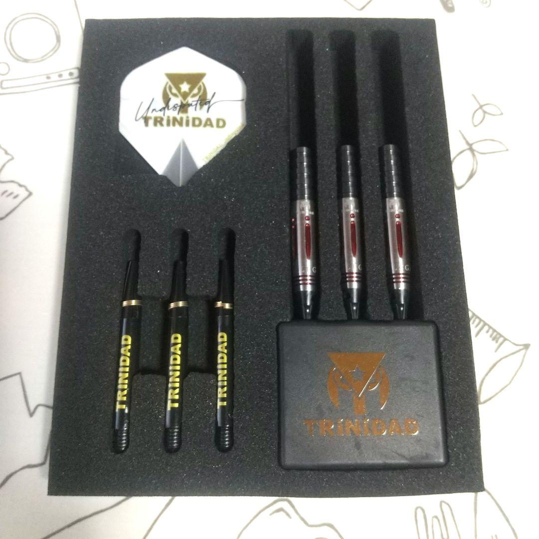 美品 AKARI レガシー エスダーツ限定モデル