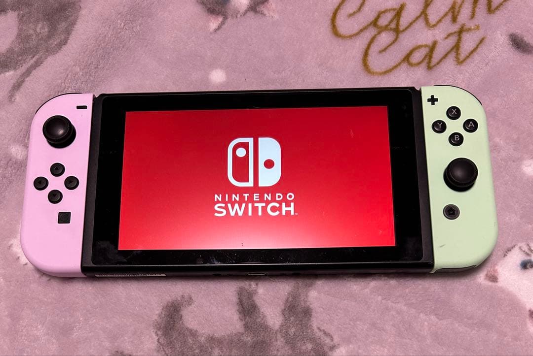 Nintendo Switch 本体+Joy-Con1セット+プロコン