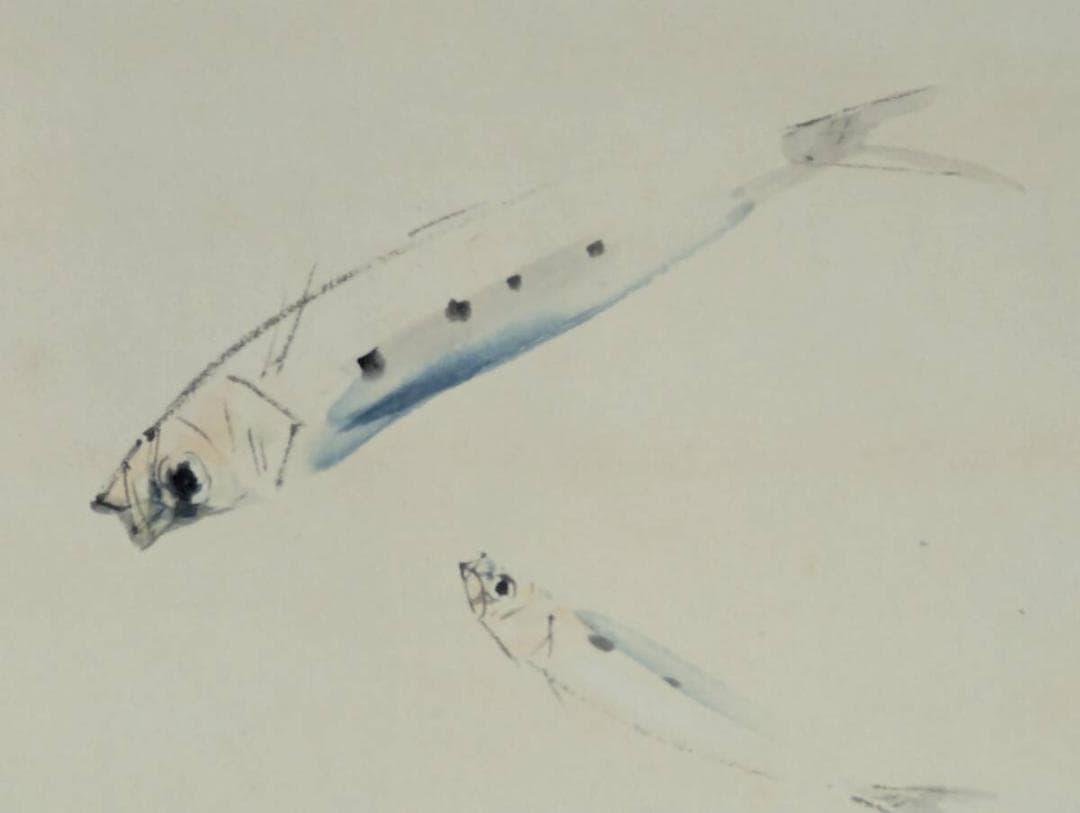 真作】掛軸 竹内栖鳳 いわし 静かな水中の詩情 二重箱入（極箱）