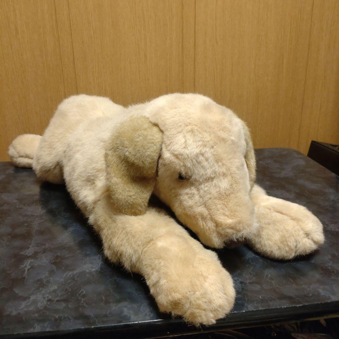 吉徳　ゴールデンレトリバー