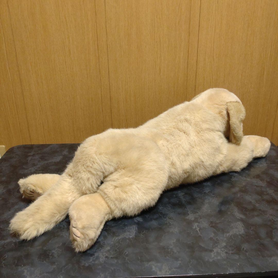 吉徳　ゴールデンレトリバー