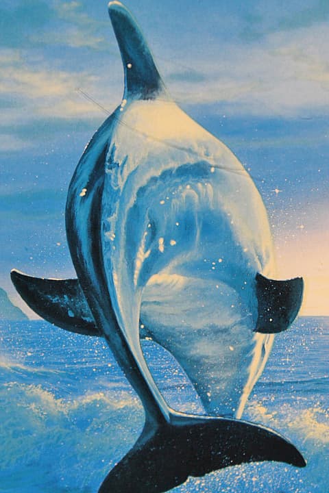 ラッセン【エタニティ】ミクスドメディア 証明書有り - メルカリ