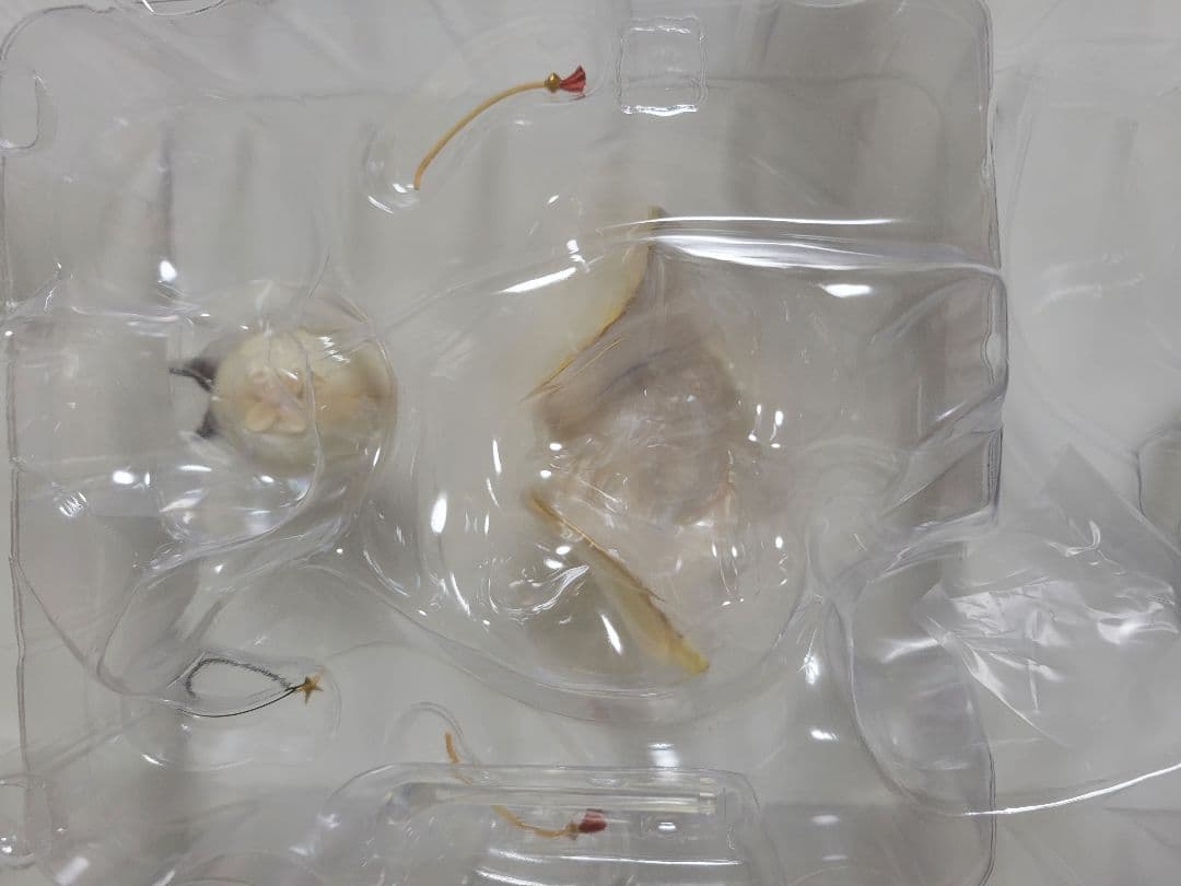 ライザ 1/6 あみあみ×AMAKUNI