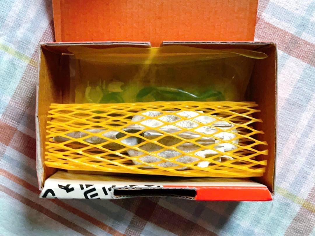 当時モノ タメオ 1/43 ウィリアムズFW15C・ルノー Tameo