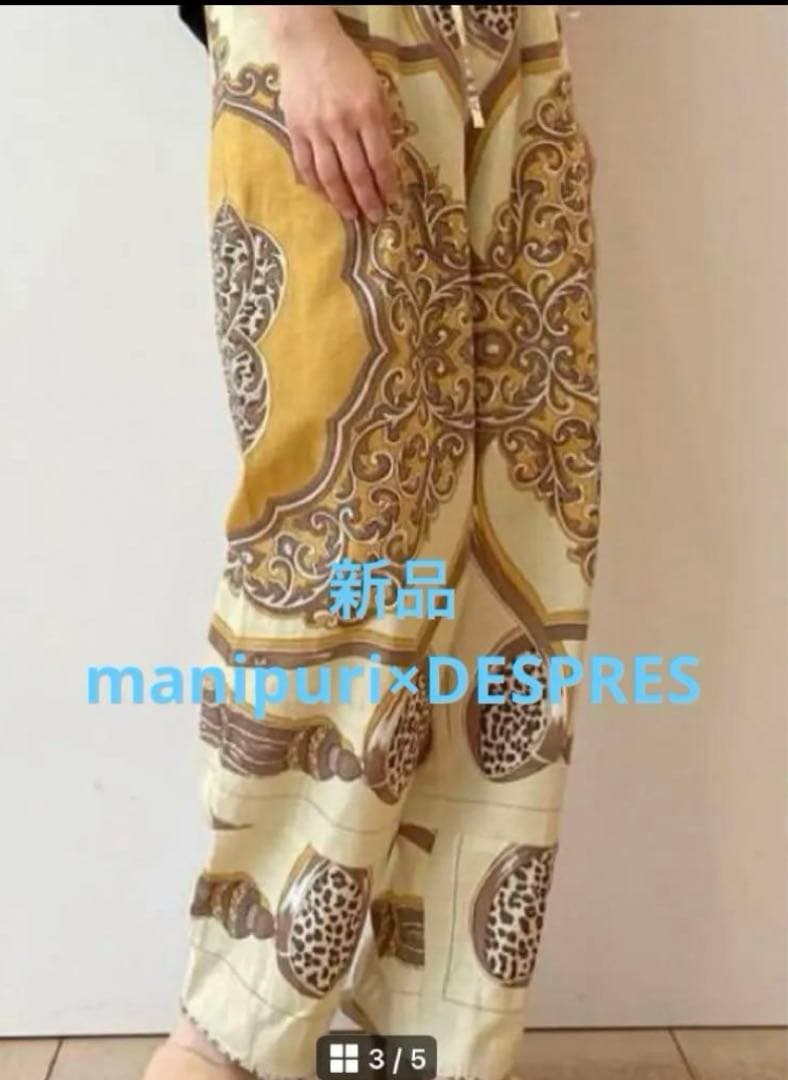 蝶標本 Caraxes フタオ 東南アジア①研究産地別コレクション 大型