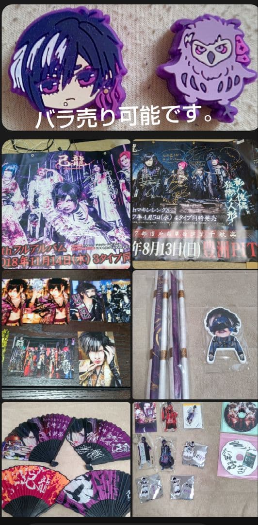 己龍 グッズ（タペストリー）