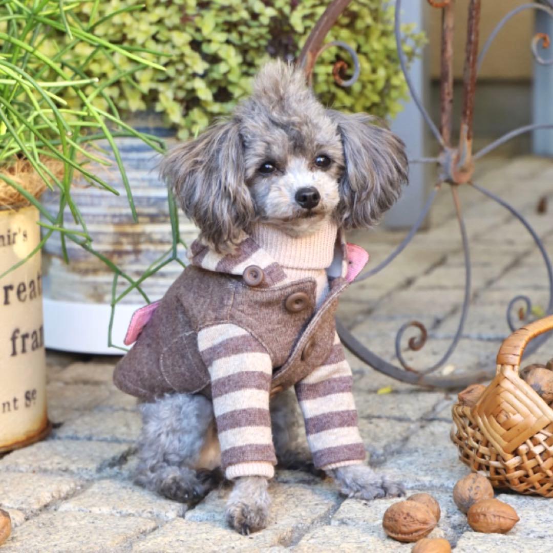 アトリエgg girls ダッフルコート 19ハーフ 2025年最新】アトリエgg