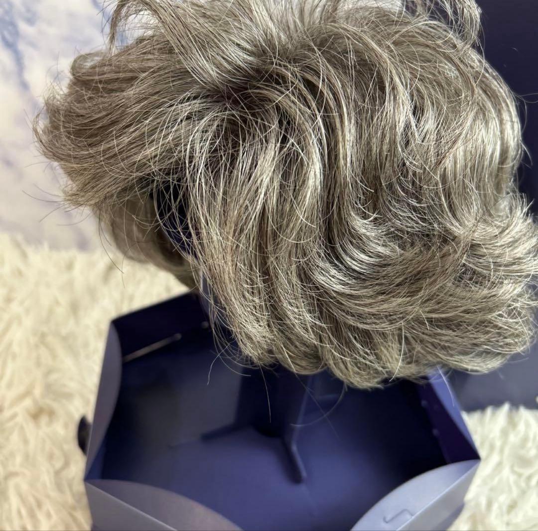 フォンテーヌ　シルバーショートウィッグ 専用ボックス付き