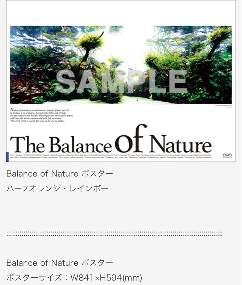 ADAポスター【入手困難レア】