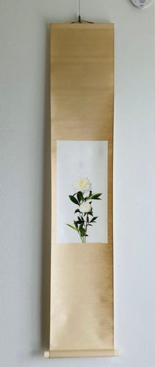 注文 鞆岡隆史 軸 「芍薬」 （1/5） 写真 軸飾 茶掛 茶道 茶室飾り