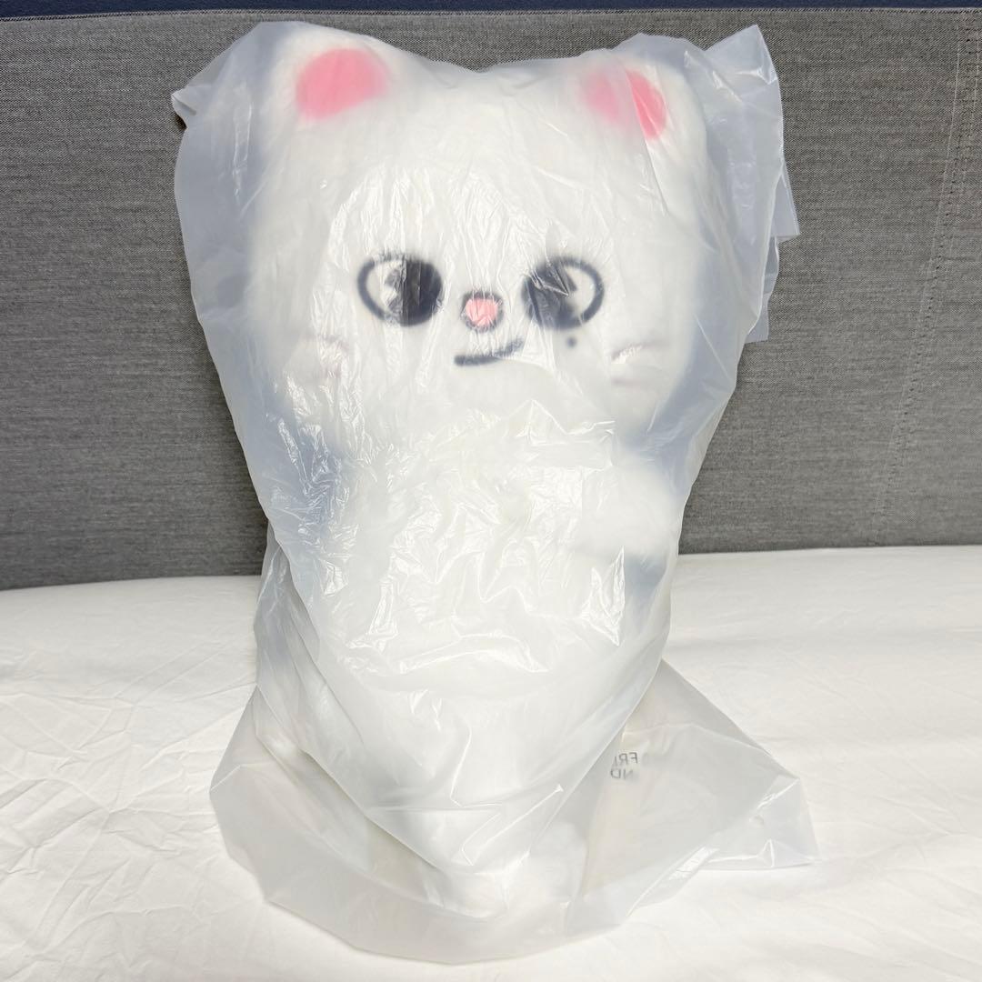 straykids celebrATE プラッシュバッグ ジニレット straykids celebrATE プラッシュバッグ ジニレット ヒョンジン