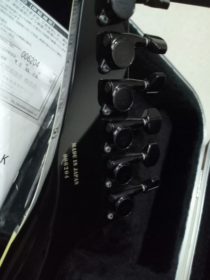 FERNANDES TEJ DELUXE 2S　純正ハードケース付き