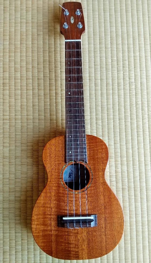 T431 茶碗 『芫菊 茶碗』『平安 紫峰 造』 共箱 抹茶碗 茶道具