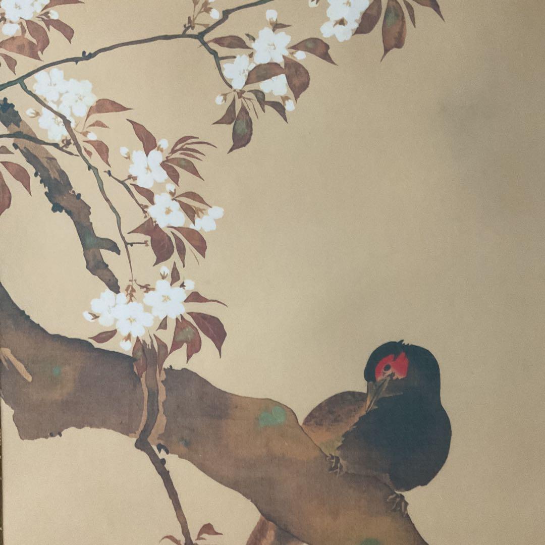 酒井抱一筆 桜花雉子図 復刻版 1500部内741番 桐箱付