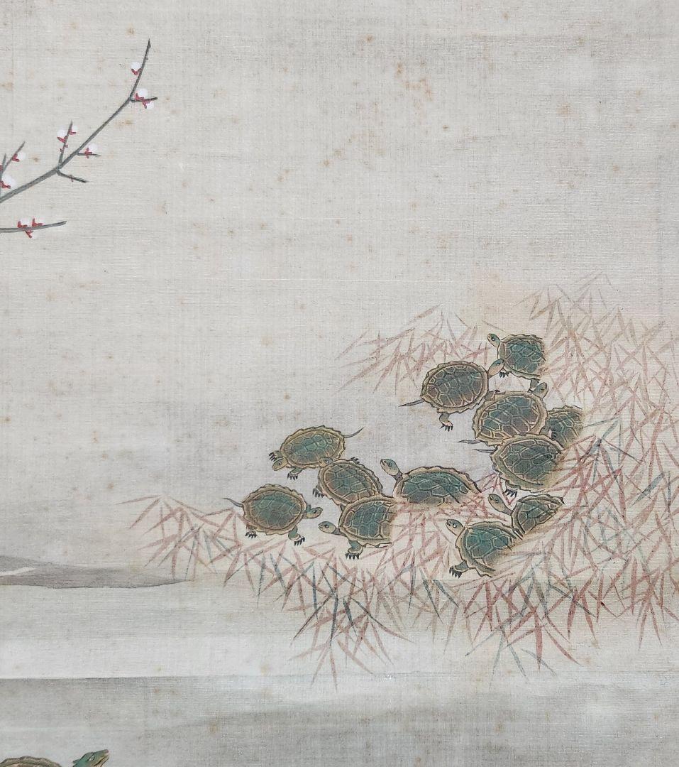 【長寿郡亀図】土佐光芳 2605　掛け軸　百亀　肉筆