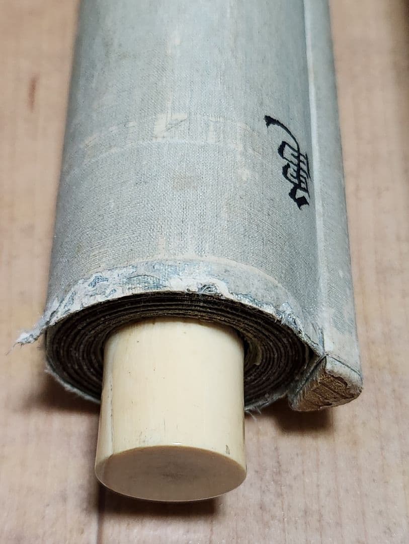 【長寿郡亀図】土佐光芳 2605　掛け軸　百亀　肉筆