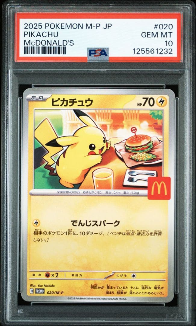 ガイア 原始 デッキ カイルス・グリフォン入り