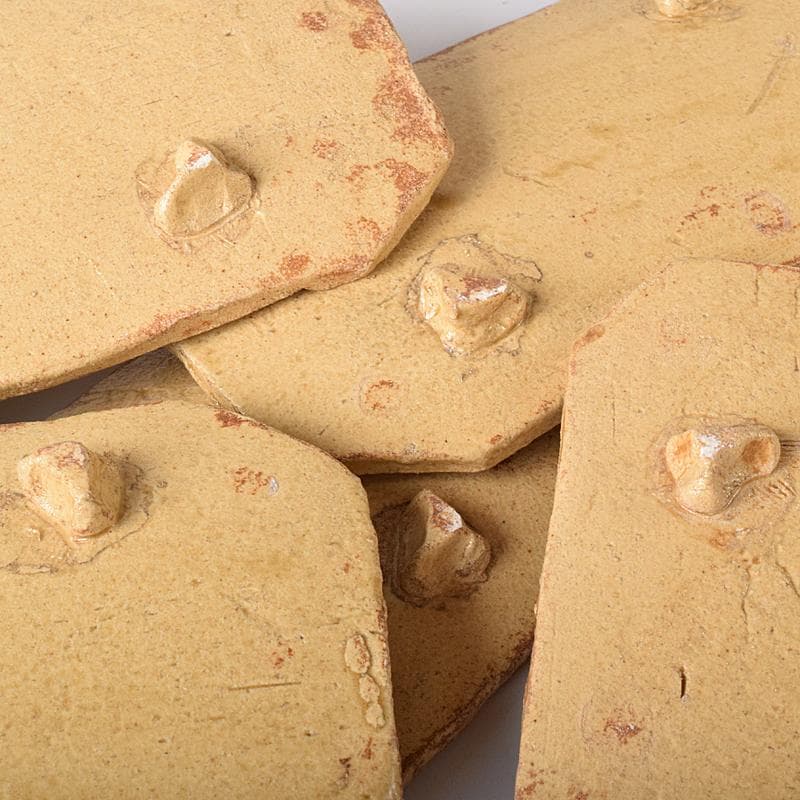 和食器　りんどう窯　小松幸代作　黄瀬戸　草文　長方皿　五客　共箱　D　R8175