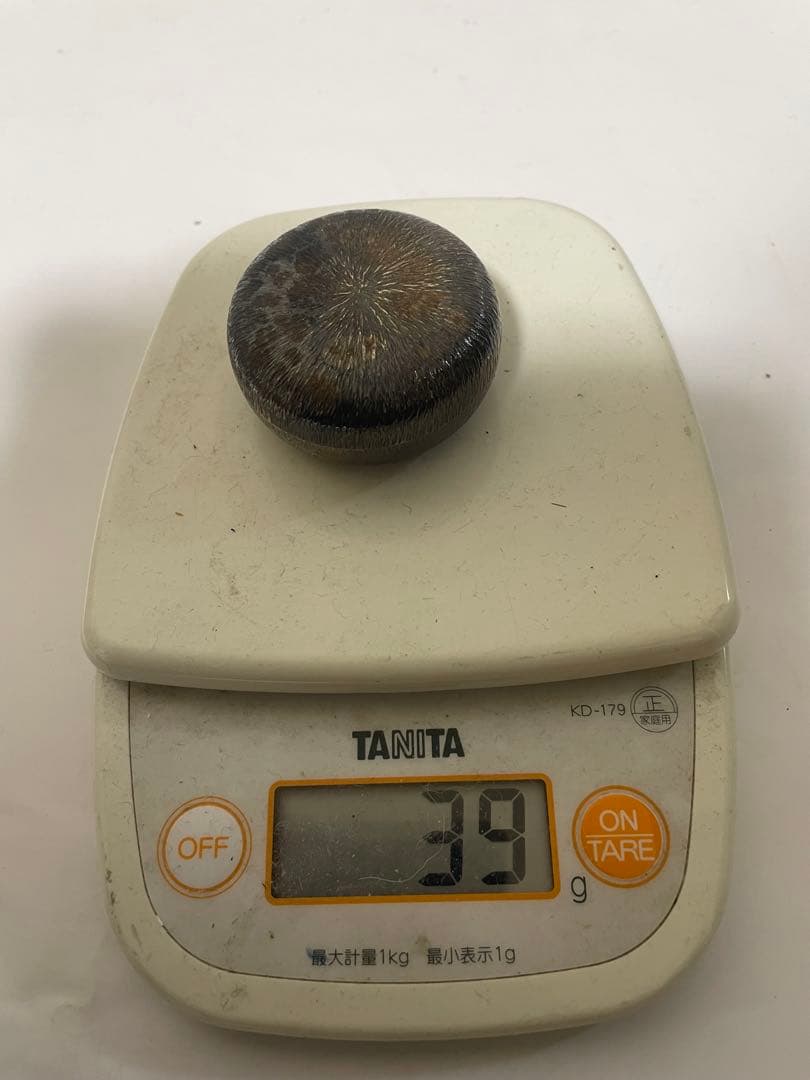 純銀 香合 小物入れ 約39g