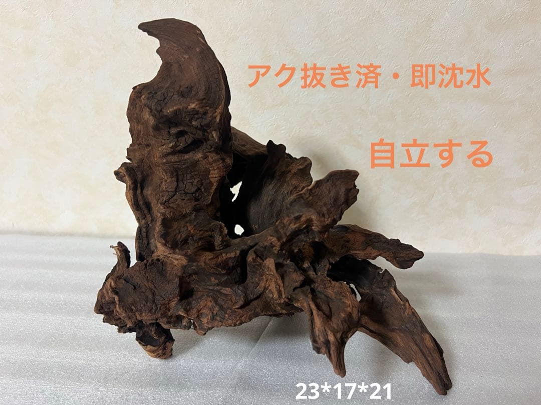 XM-460 流木 マシンガンウッド アクアリウム ブランチウッド 沈水確認