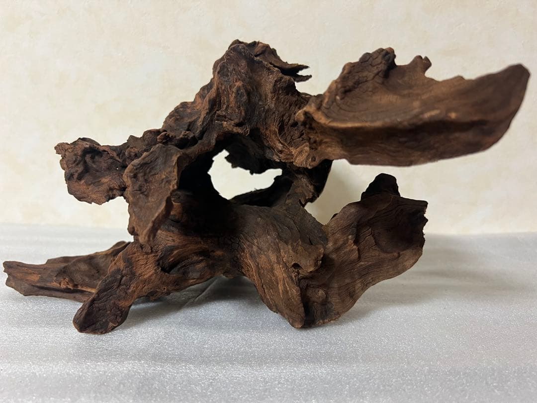 ホーンウッド ada アクアリウム 流木 水草レイアウト 水槽 NATURE IN