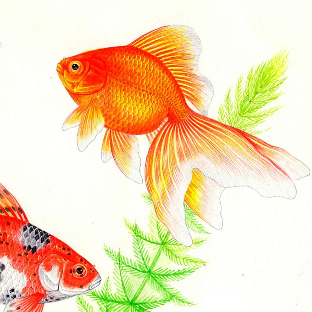 【絵画】ネイチャーアート　「金魚」原画