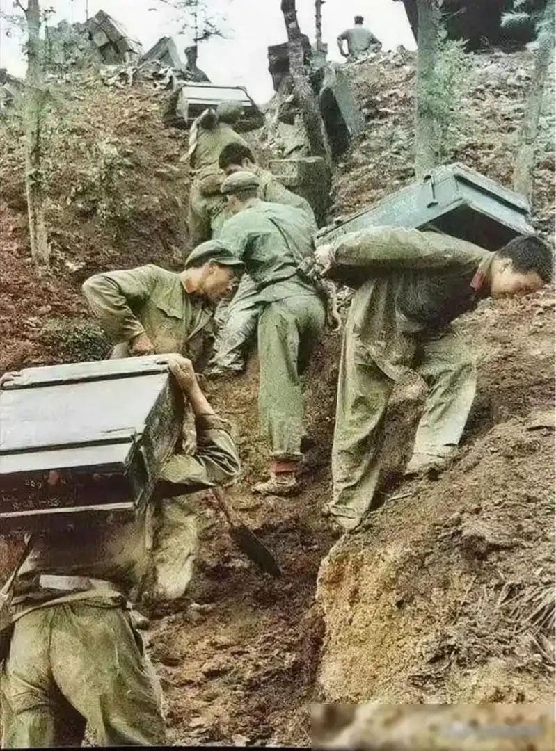 官給ベトナム戦争65式中国人民解放軍戦闘服上下帽子雑嚢弾帯水筒 超